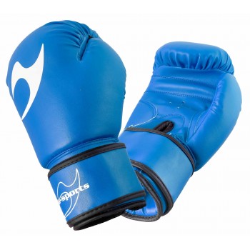 Boxhandschuhe Training blau