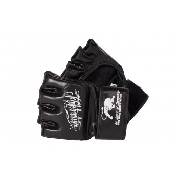 FIGHTNATURE MMA Handschuhe